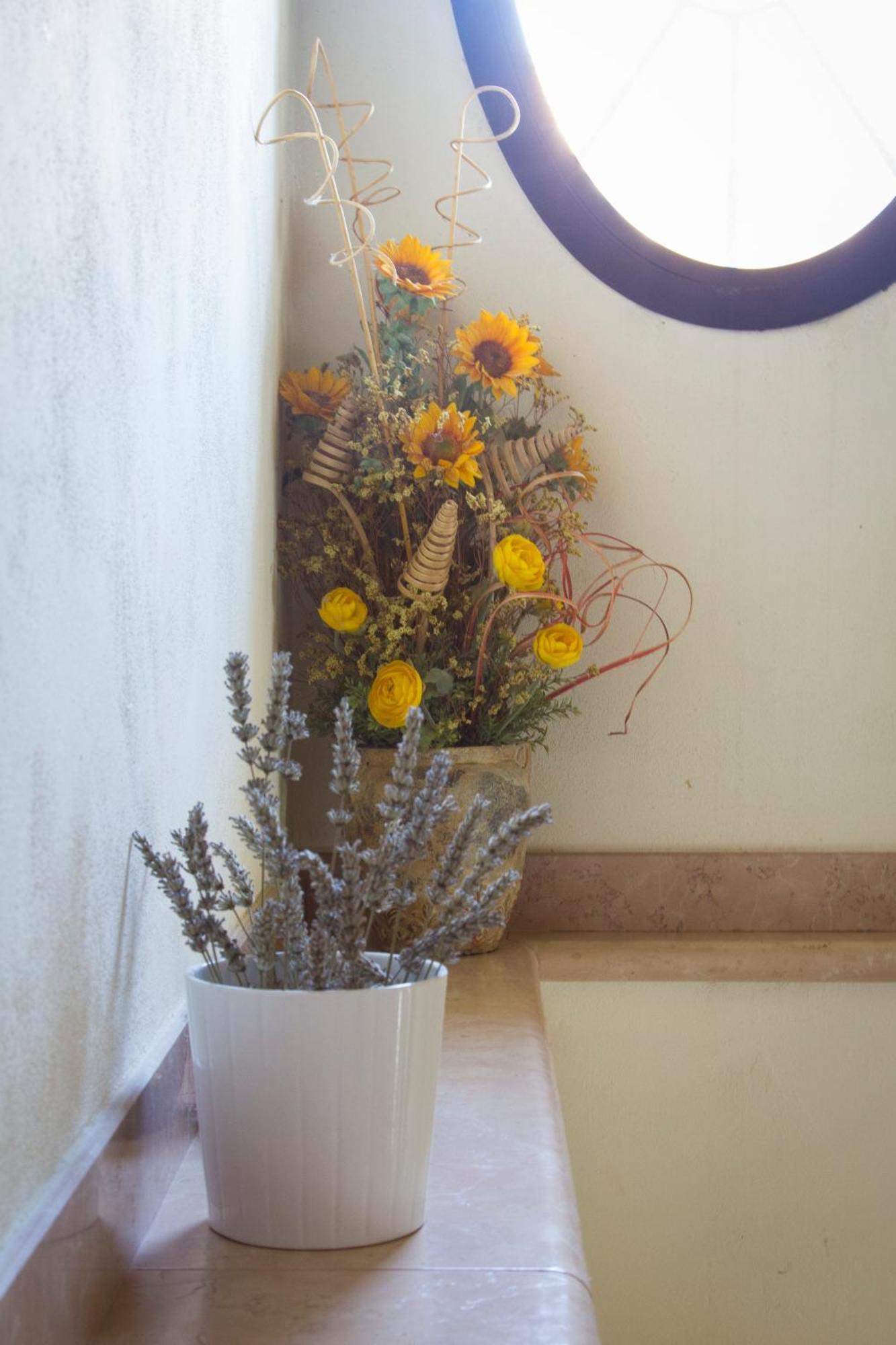Agriturismo Ca Nuova ミネルビオ エクステリア 写真
