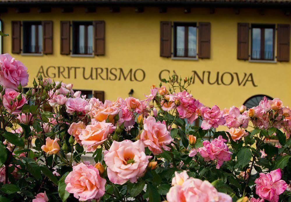 Agriturismo Ca Nuova ミネルビオ エクステリア 写真